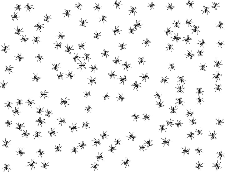 Ant Decals - Cone 6 - Inglaze 