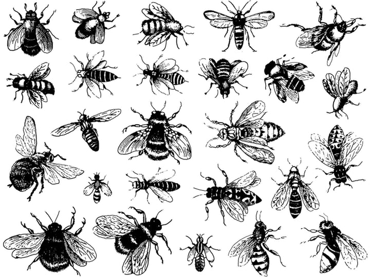 Vintage Bees Decals  - Glassware - Enamel