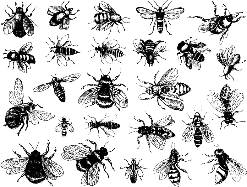 Décalcomanies Abeilles vintage - Cône 017 - Verre fusionné - Émail