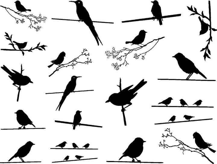 Décalcomanies Oiseaux sur un fil - Céramique Cône 6 - En-glaçure