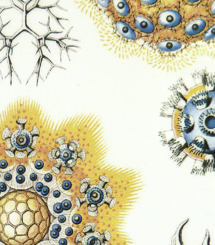 Blue/Yellow Sea Creature Decals- Not Food Safe  - Cone 017 - Fused Glass 