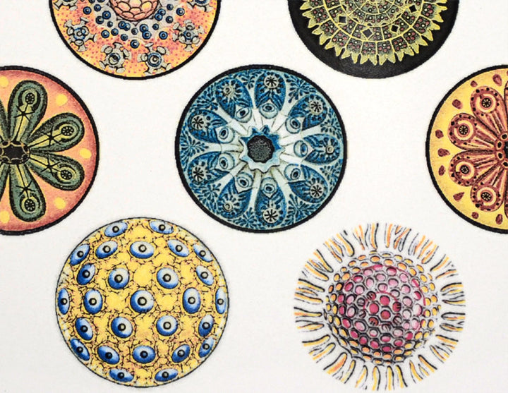 Colorful Circle Decals - Not Food Safe - Cone 017 - Fused Glass 