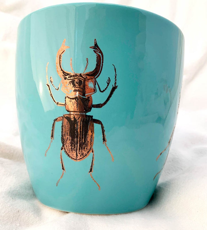 Two-Color Large Scarab Beetle Decals   - Cone 017 - Fused Glass 