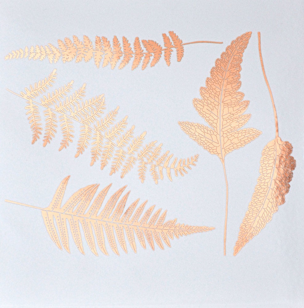 Fern Decals - Cone 017 - Fused Glass 