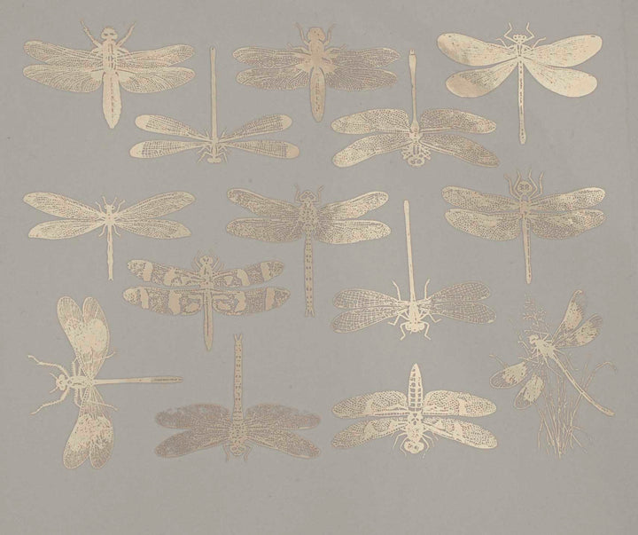 Libellule Décalcomanies - Céramique Cône 017 - Verre fusionné