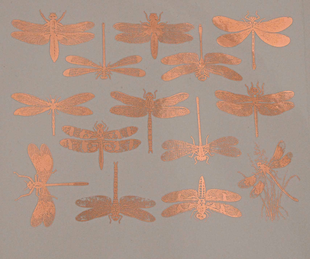 Libellule Décalcomanies - Céramique Cône 017 - Verre fusionné