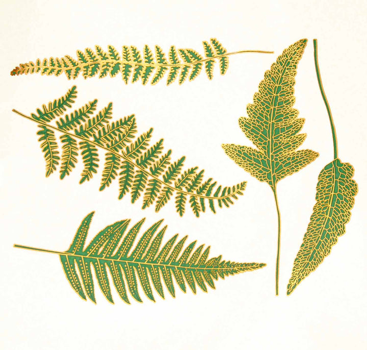 Décalcomanies Fougère - Céramique Cône 017 - Verre fusionné - Émail