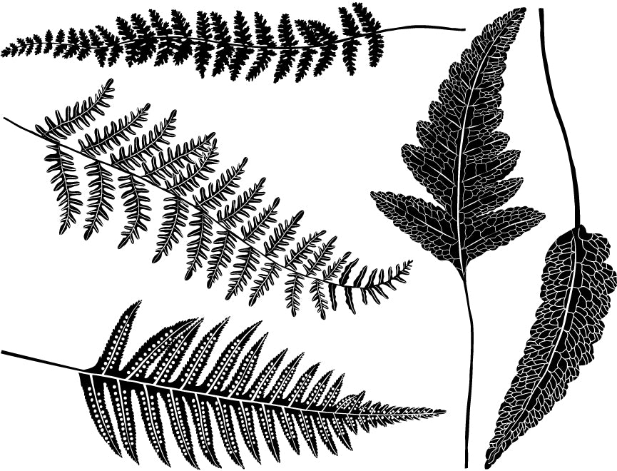 Fern Decals - Cone 6 - Inglaze 
