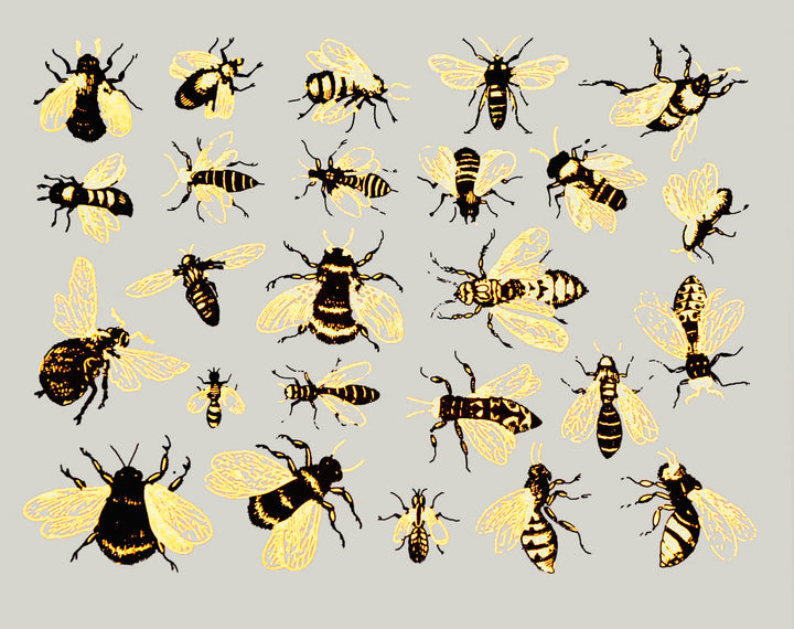 Two-Color Vintage Bee Decals - Ceramic Cone 017 - Fused Glass- Enamel