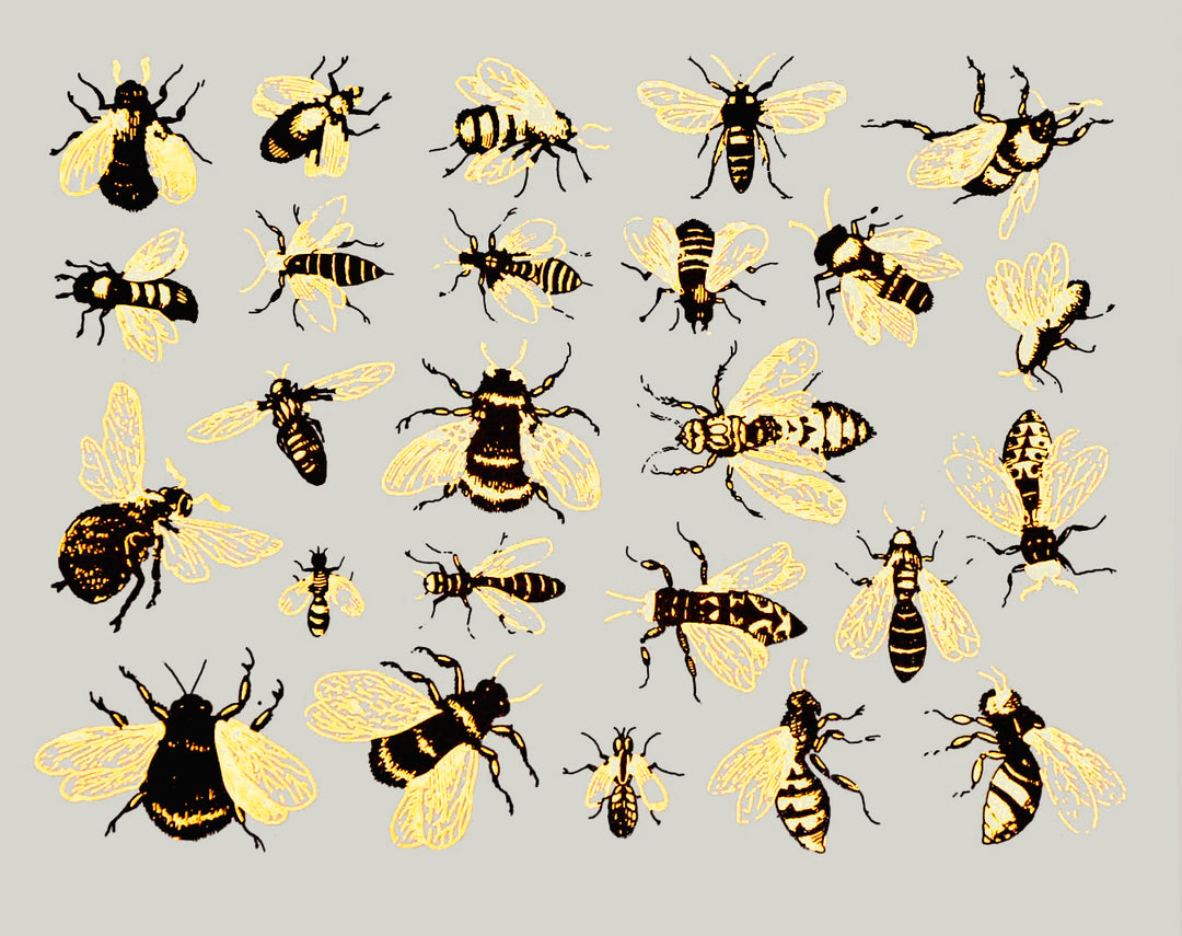 Décalcomanies Abeilles vintage - Cône 017 - Verre fusionné - Émail
