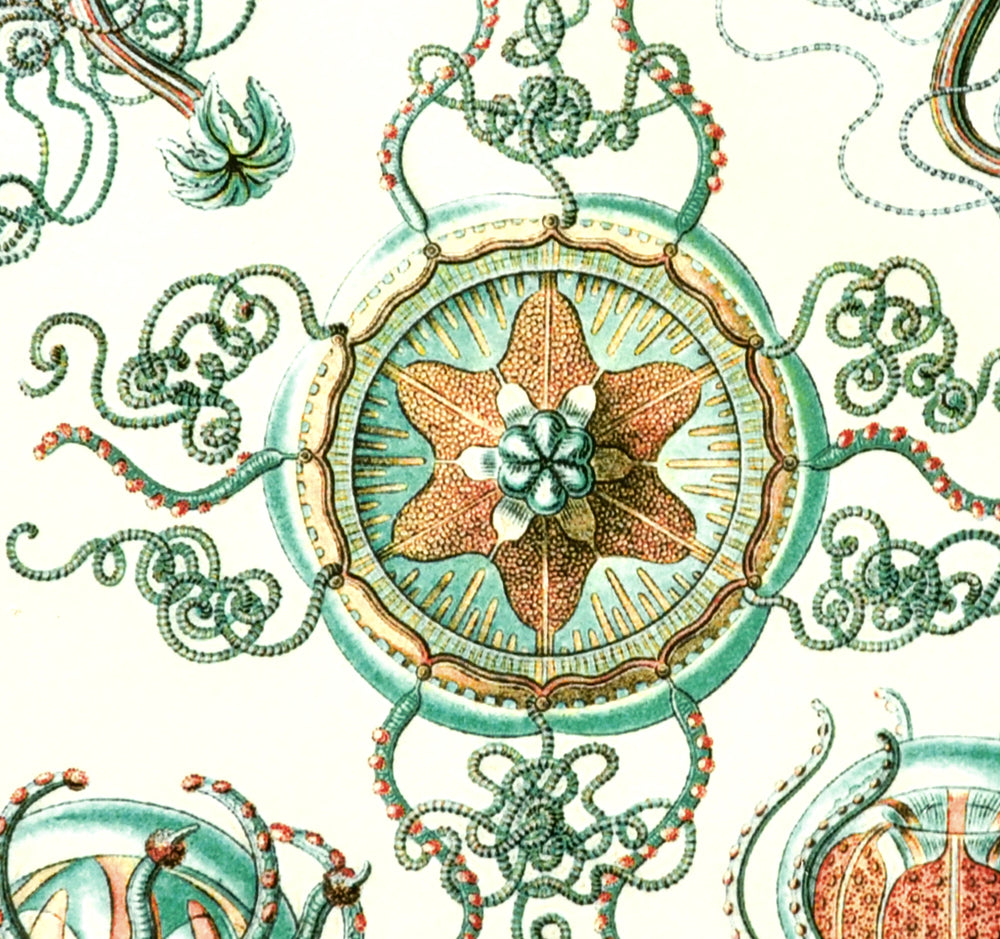 Green/Brown Jellyfish Decals- Not Food Safe  - Cone 017 - Fused Glass 