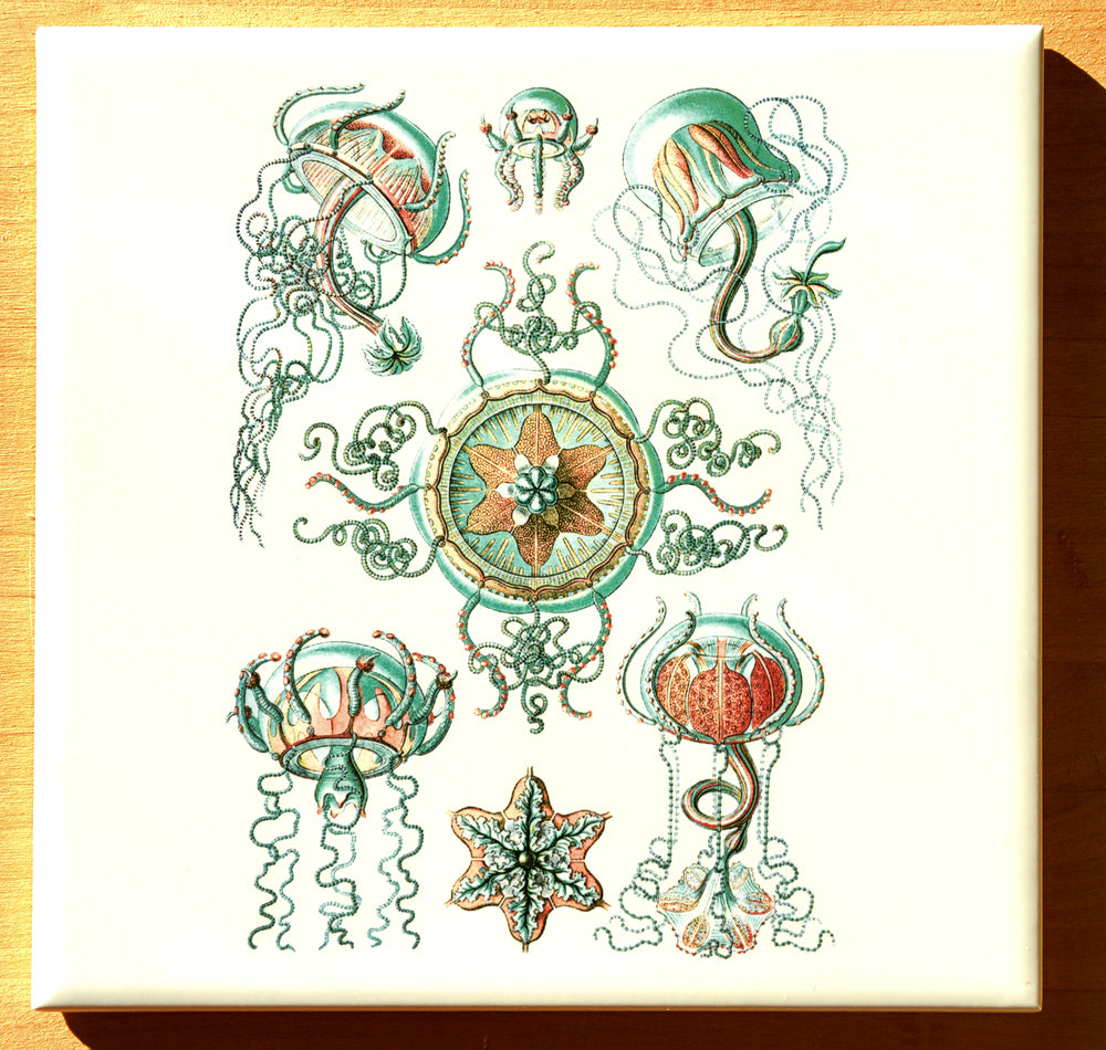 Green/Brown Jellyfish Decals- Not Food Safe  - Cone 017 - Fused Glass 