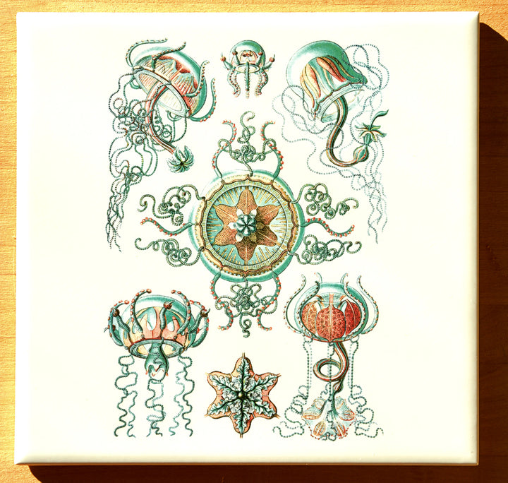 Green/Brown Jellyfish Decals- Not Food Safe  - Cone 017 - Fused Glass 