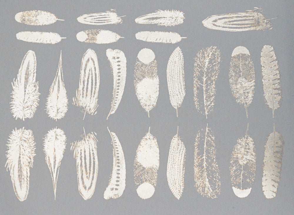 Small Feather Decals - Cone 017 - Fused Glass 