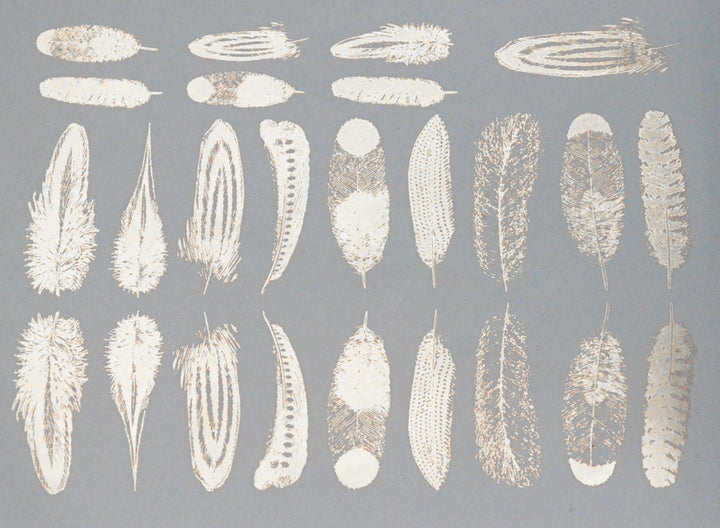 Small Feather Decals - Cone 017 - Fused Glass 