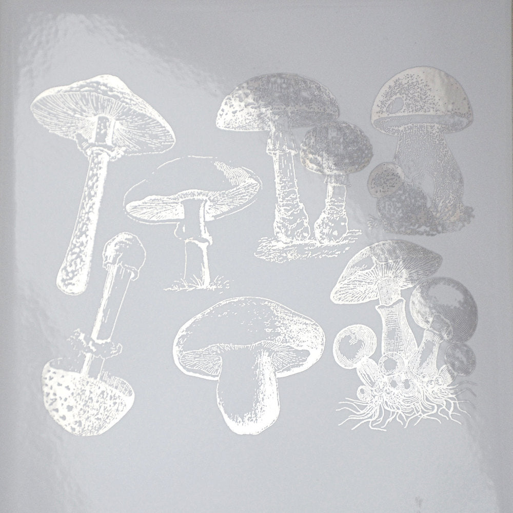 Vintage Mushroom Decals - Cone 017 - Fused Glass 