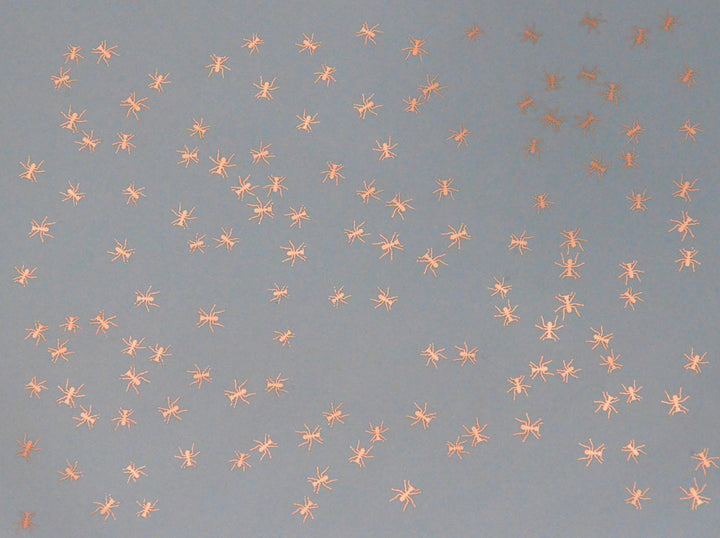 Ant Decals - Glassware - Cone 021 