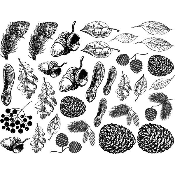 Autumn Nature Decals - Cone 017 - Fused Glass 