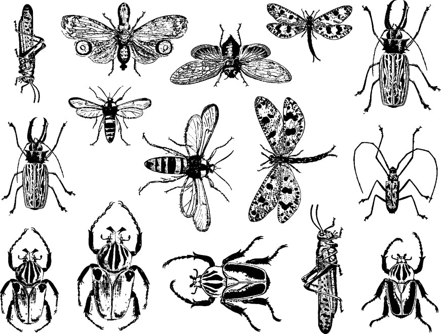 Chevrons Insect Mixed Insect Decals - Ceramic Cone 6 - Inglaze – Milestone Decal Art