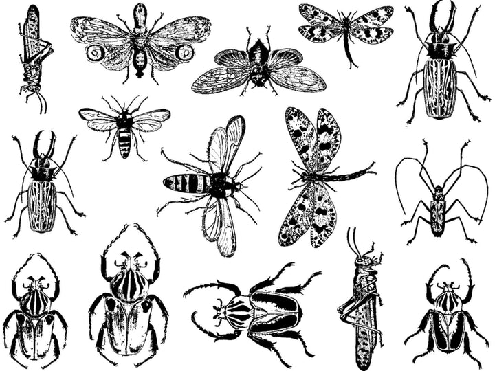 Décalcomanies d'insectes mixtes - Céramique Cône 017 - Verre fusionné - Émail