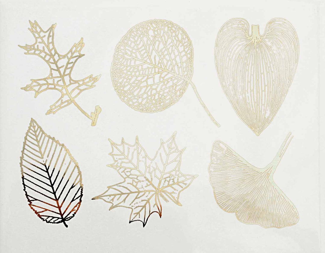 Grandes Feuilles Décalcomanies - Céramique Cône 017 - Verre Fusionné - Émail