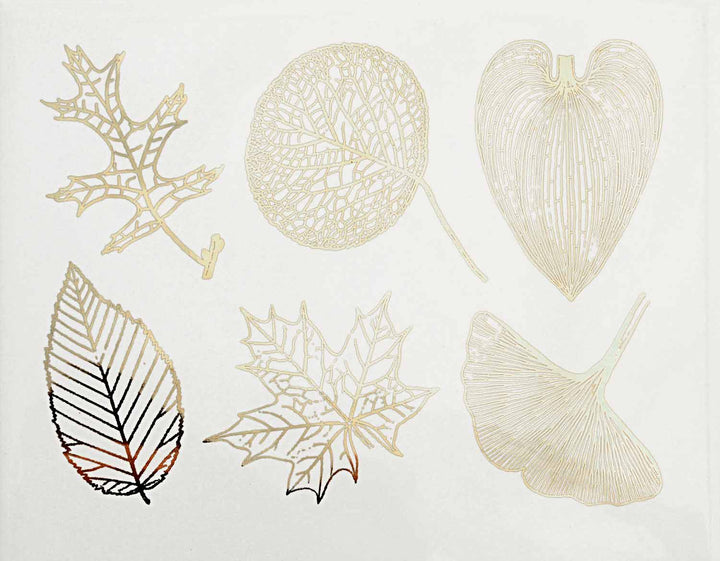 Grandes Feuilles Décalcomanies - Céramique Cône 017 - Verre Fusionné - Émail