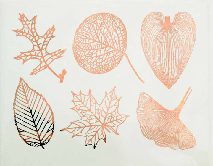 Grandes feuilles Décalcomanies - Verrerie - Émail