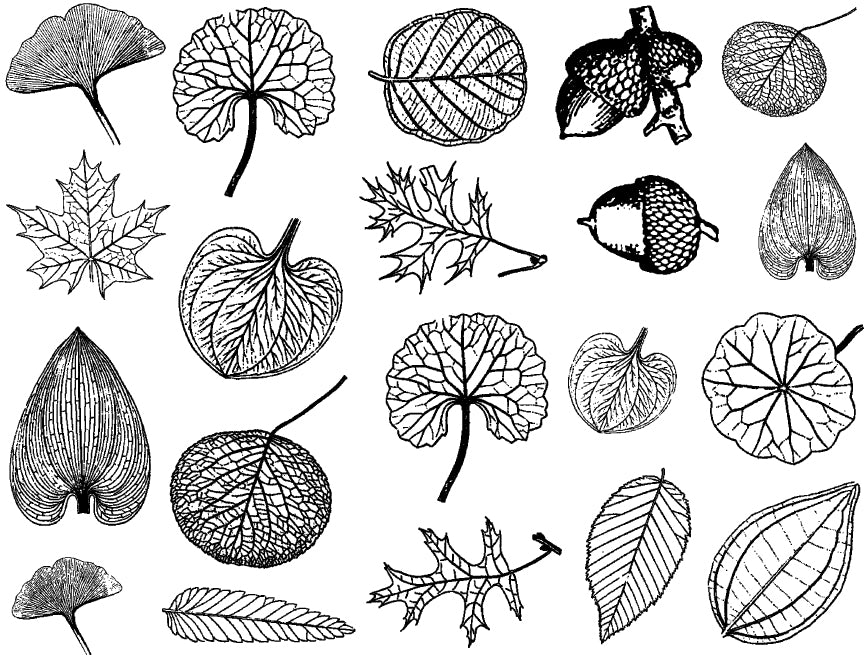 Small Leaf Decals - Glassware - Cone 021 