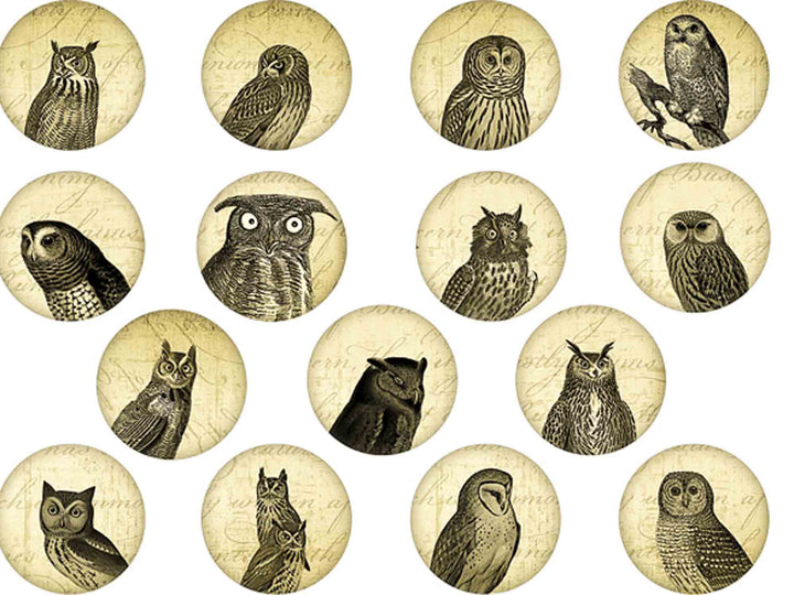 Décalcomanies Cercle Hibou Sage - Non adapté pour Produits Alimentaires - Céramique Cône 017 - Verre Fusionné - Émail