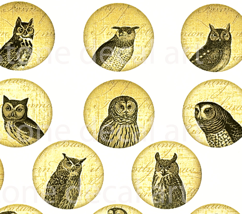Wise Owl Circle Decals - Cone 017 - Fused Glass 