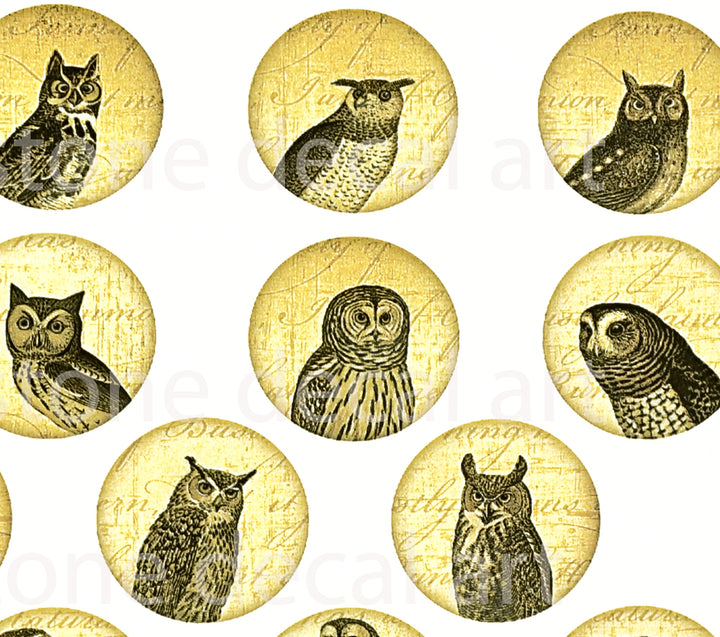 Wise Owl Circle Decals - Cone 017 - Fused Glass 