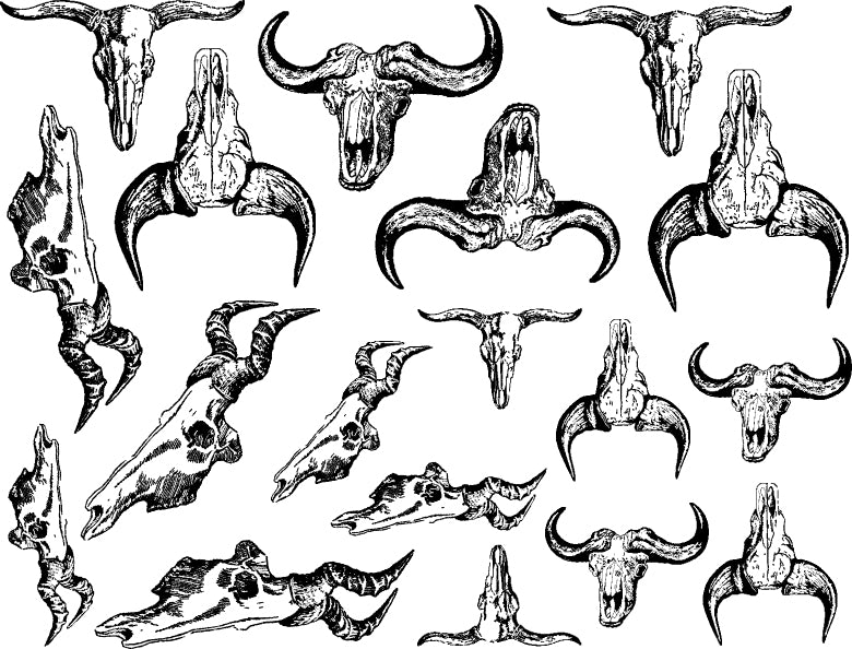 Bull Skull Decals - Cone 017 - Fused Glass 