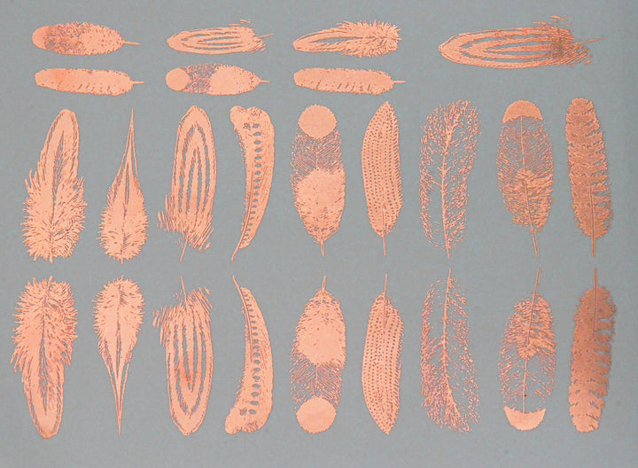 Petites Plumes Décalcomanies - Céramique Cône 017 - Verre Fusionné - Émail