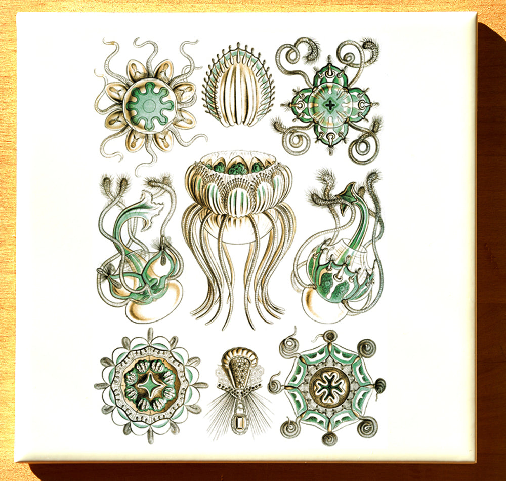 Turquoise Jellyfish Decals- Not Food Safe  - Cone 017 - Fused Glass 