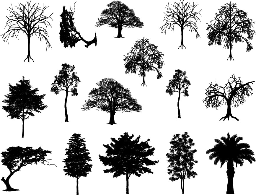 Tree Decals - Cone 6 - Inglaze 