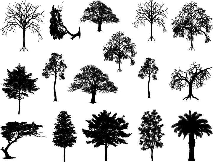 Tree Decals - Cone 6 - Inglaze 