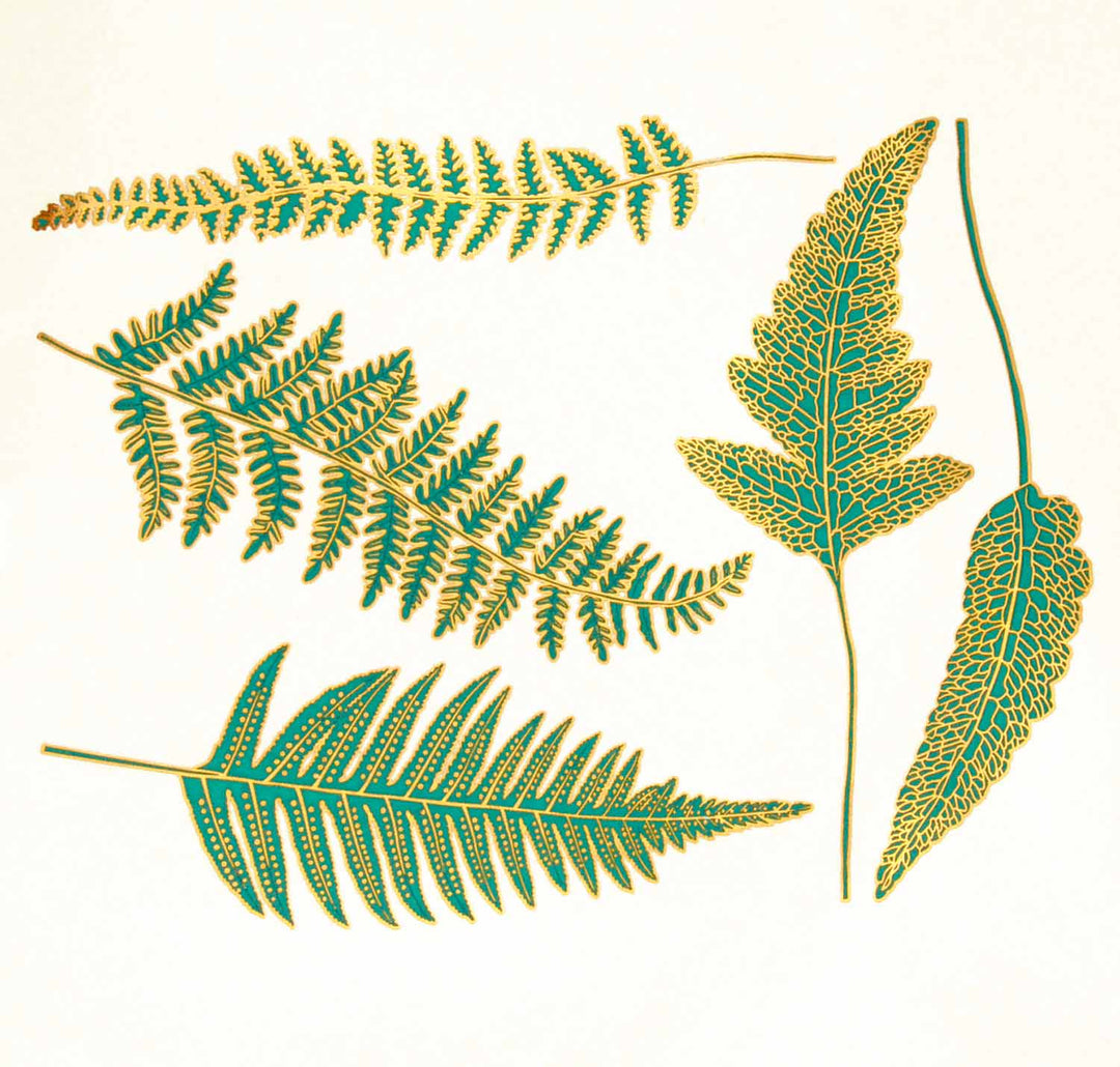 Décalcomanies Fougère - Céramique Cône 017 - Verre fusionné - Émail